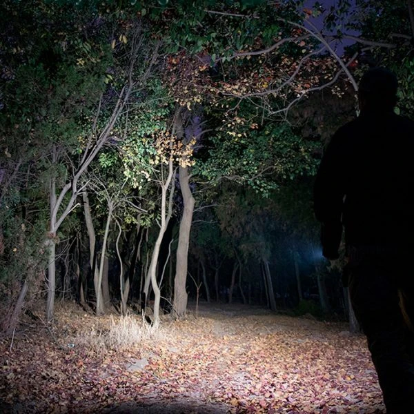 Boating Flashlights Olight I5T EOS Flashlight | 300 Lumens | Olight Distributor - Image 3